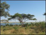 The Zambezi River!