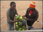 buying cucumbers