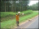 boy selling rubber band balls