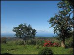 the view from porch