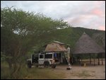 Foxy at Baobab Valley Camp