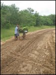 a slow muddy ride