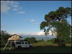 Foxy at Ngorogoro overlooking crater