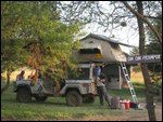 Foxy at Dikdik Publbic Campsite