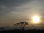 Serengeti sunset