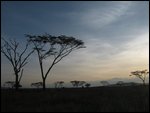 sun setting quickly