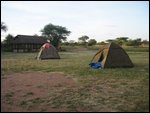 Tents at Dikdik Public Campsite