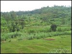 hilly Rwanda