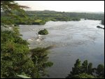 The Nile RIver from NRE Camp