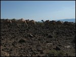 big volcanic rocks