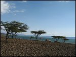 first LAKE TURKANA sighting