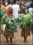 girls selling cabbage