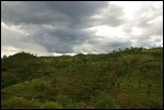 hilly and green Ethiopia