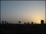 setting Sudan sun