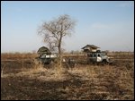 morning at bush camp, totally alone