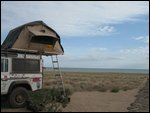 Foxy in the morning beside Lake Turkana