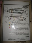 ferry plan in Arabic