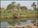 Riding Nile-side