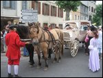 Medieval parade in Limoux