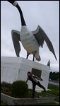 giant goose at Wawa